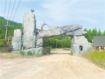 03.jpg