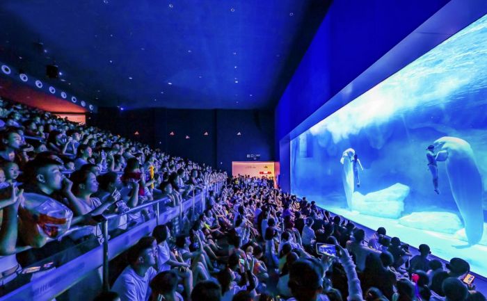 圖片1.jpg 圖片1.jpg