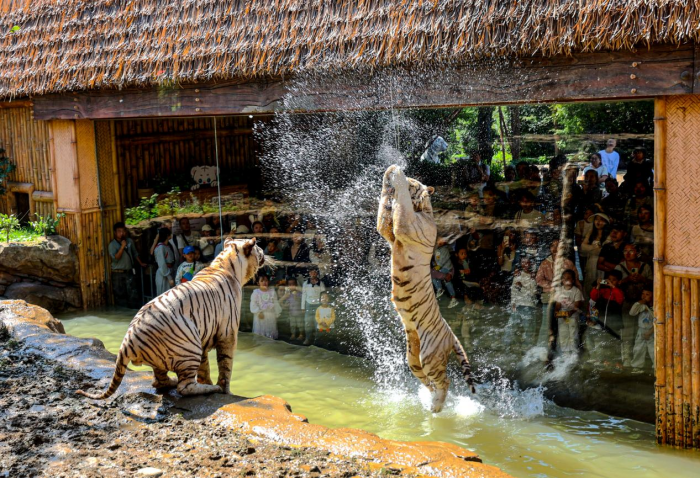 圖片 8.png 圖片 8.png