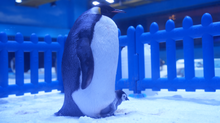 圖片 1.png 圖片 1.png