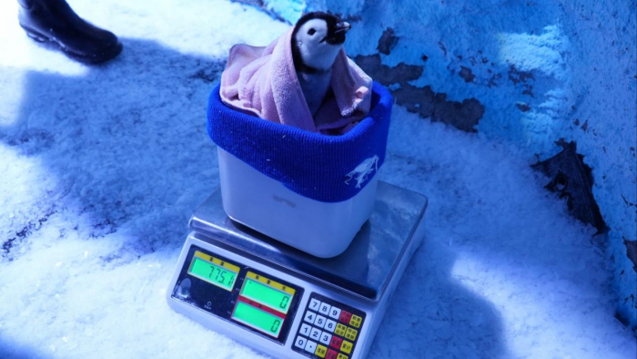 圖片 3.png 圖片 3.png