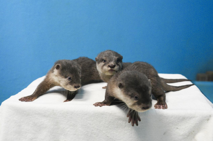 圖片 5.png 圖片 5.png