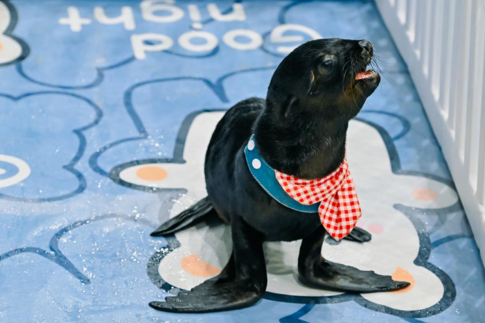 圖片 6.png 圖片 6.png