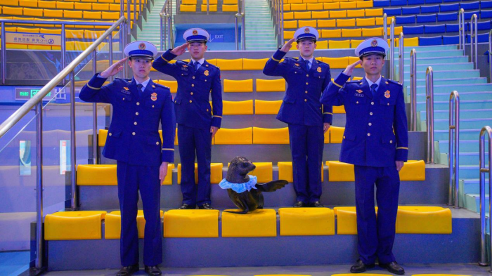 圖片 5.png 圖片 5.png