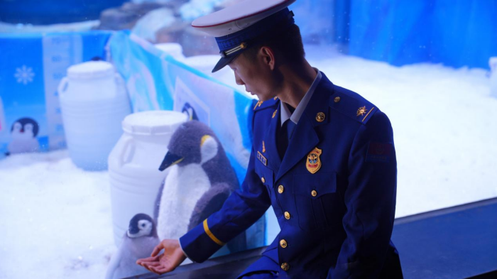 圖片 4.png 圖片 4.png